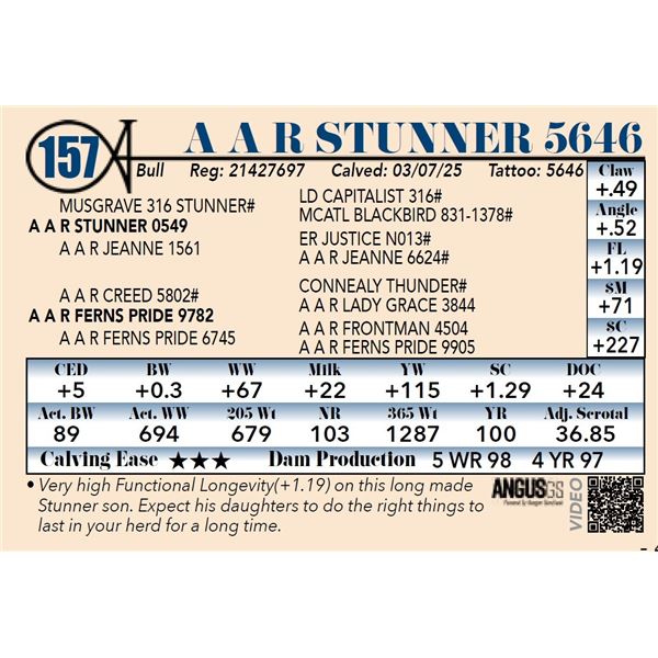 A A R Stunner 5646