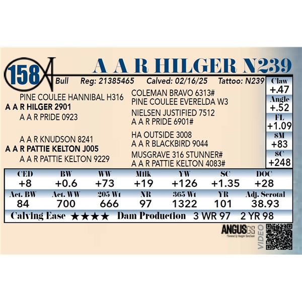 A A R Hilger N239
