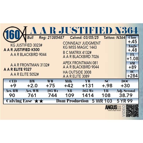 A A R Justified N364