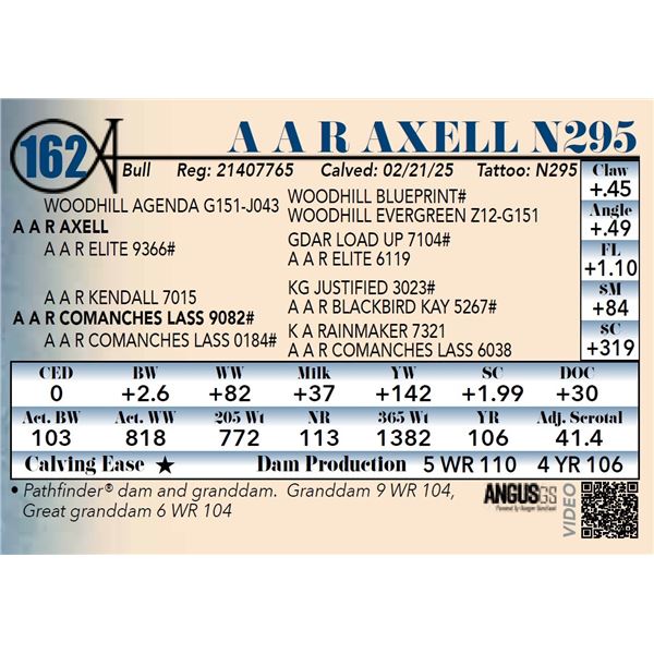 A A R Axell N295