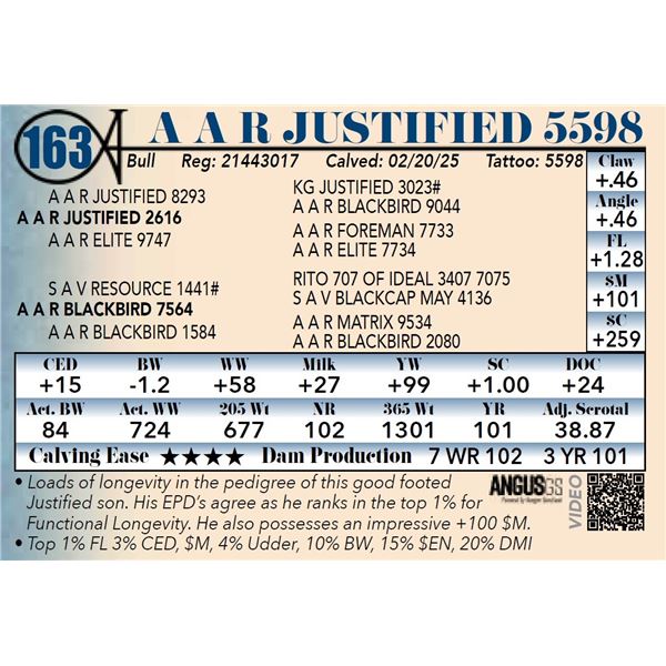 A A R Justified 5598