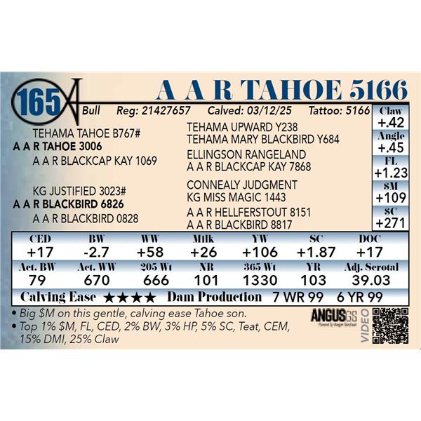A A R Tahoe 5166