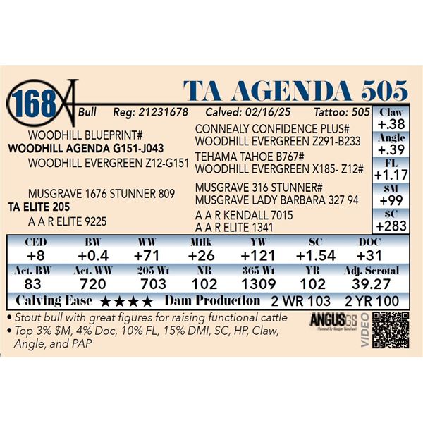 TA Agenda 505