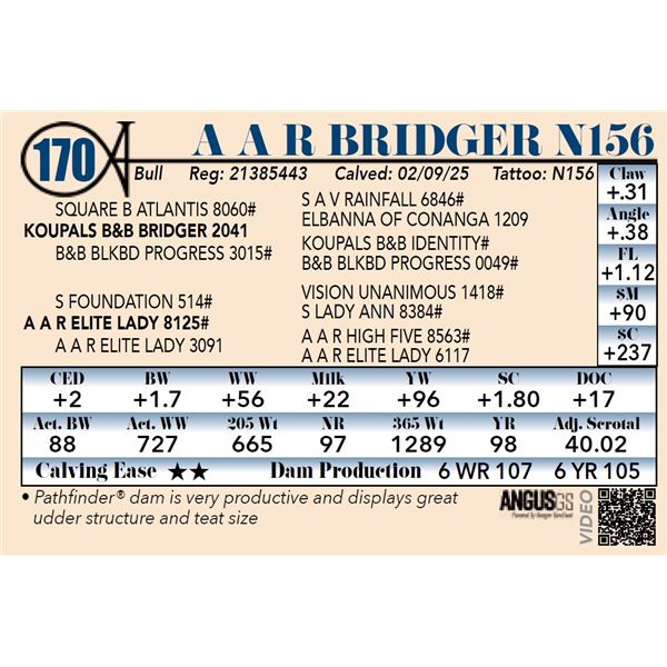 A A R Bridger N156