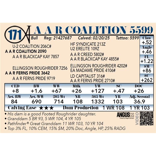 A A R Coalition 5599
