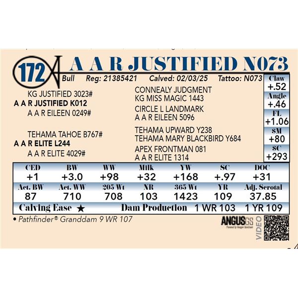A A R Justified N073