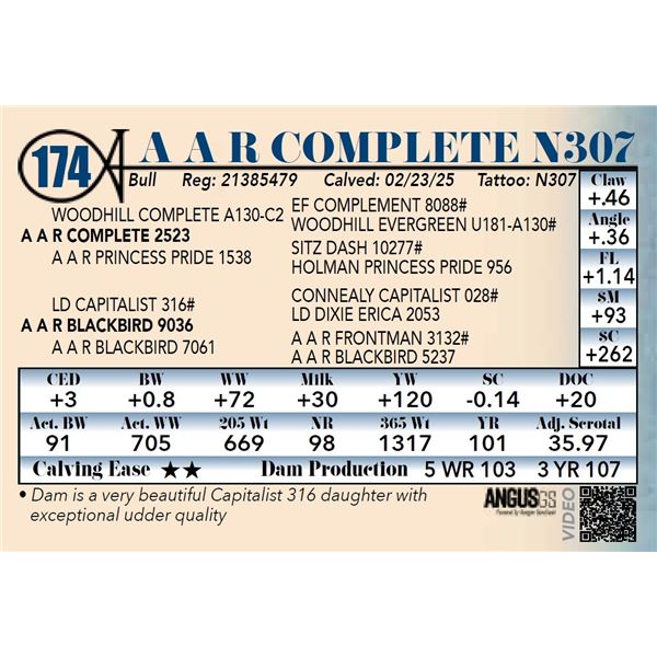 A A R Complete N307