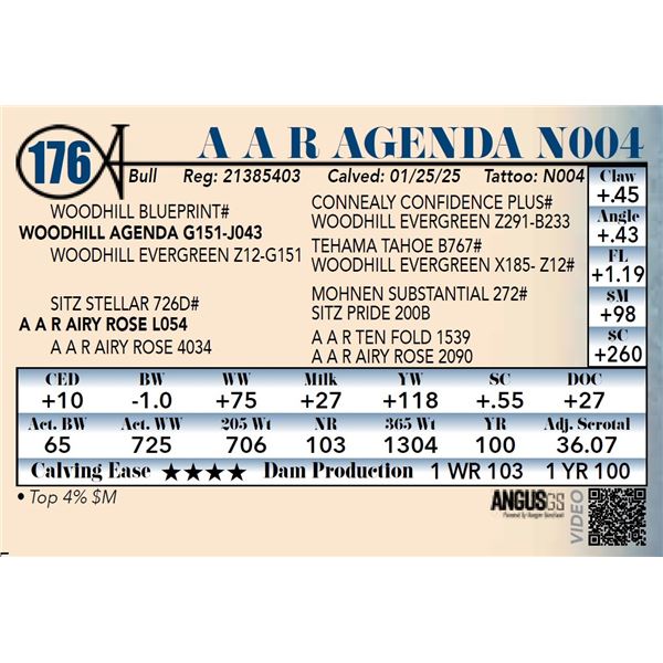 A A R Agenda N004