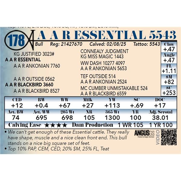 A A R Essential5543