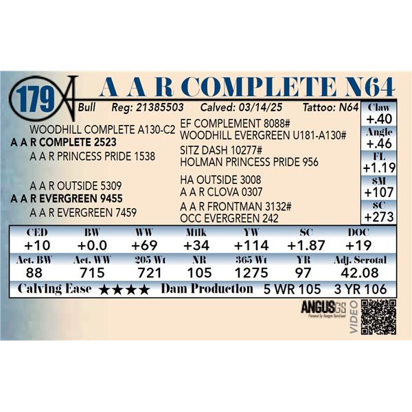 A A R Complete N64