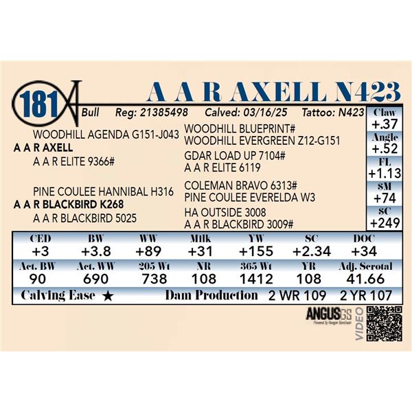 A A R Axell N423