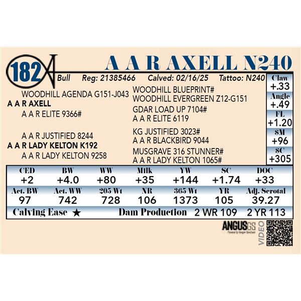 A A R Axell N240