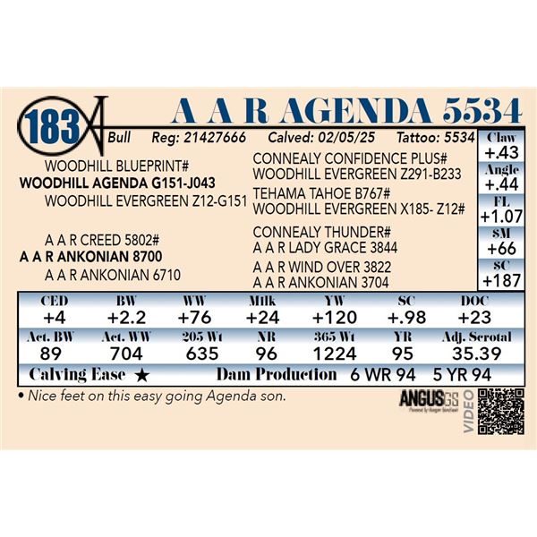 A A R Agenda 5534
