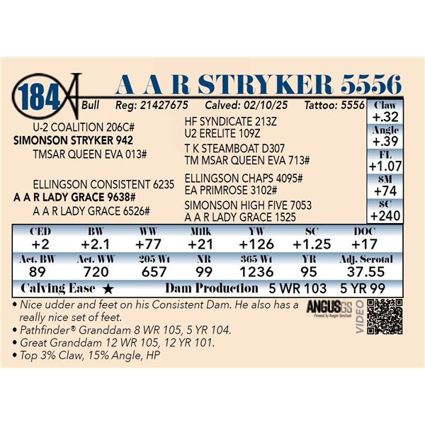 A A R Stryker 5556