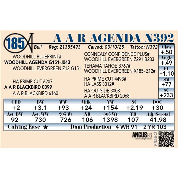 A A R Agenda N392