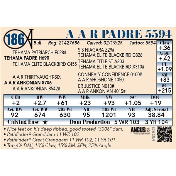 A A R Padre 5594