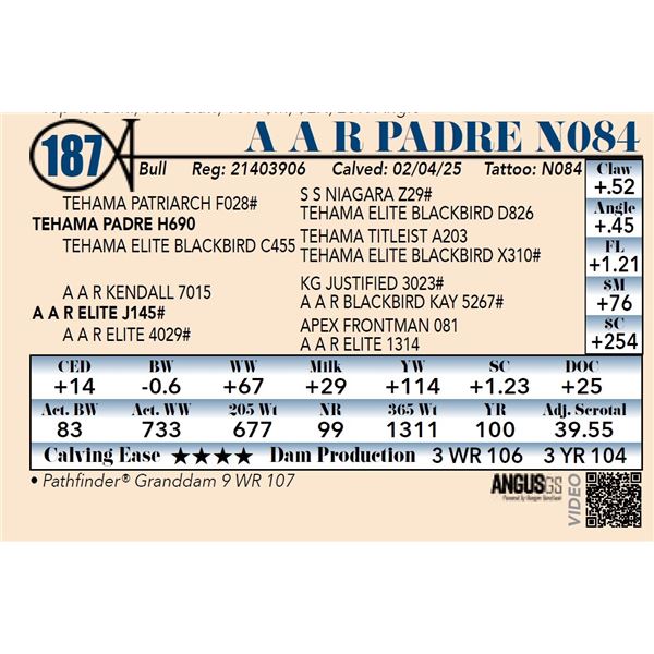 A A R Padre N084