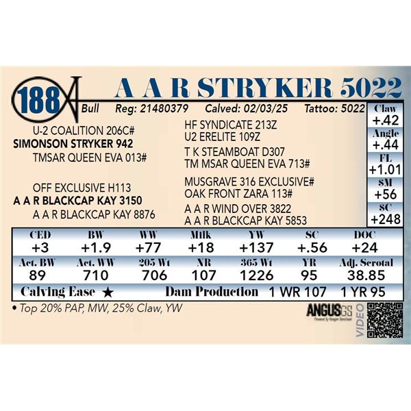 A A R Stryker 5022
