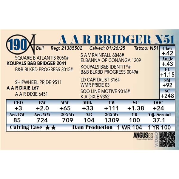 A A R Bridger N51