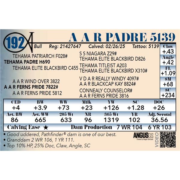 A A R Padre 5139