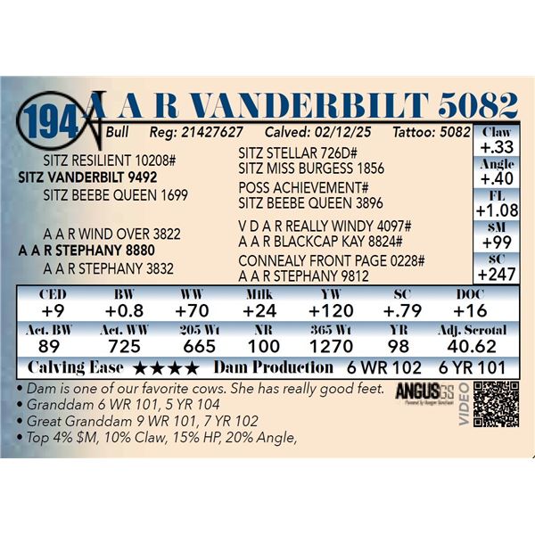 A A R Vanderbilt 5082