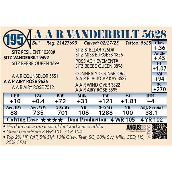 A A R Vanderbilt 5628