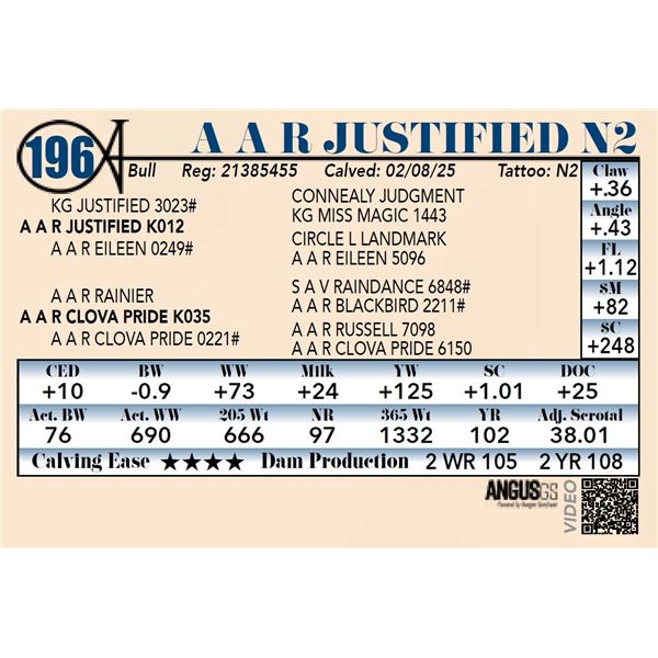 A A R Justified N2
