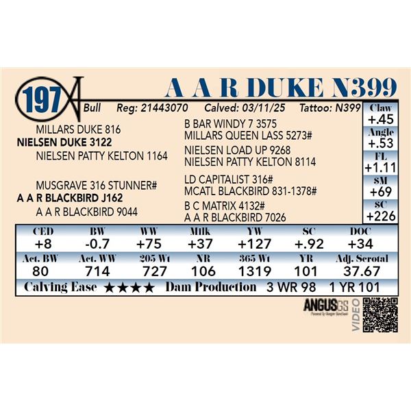 A A R Duke N399