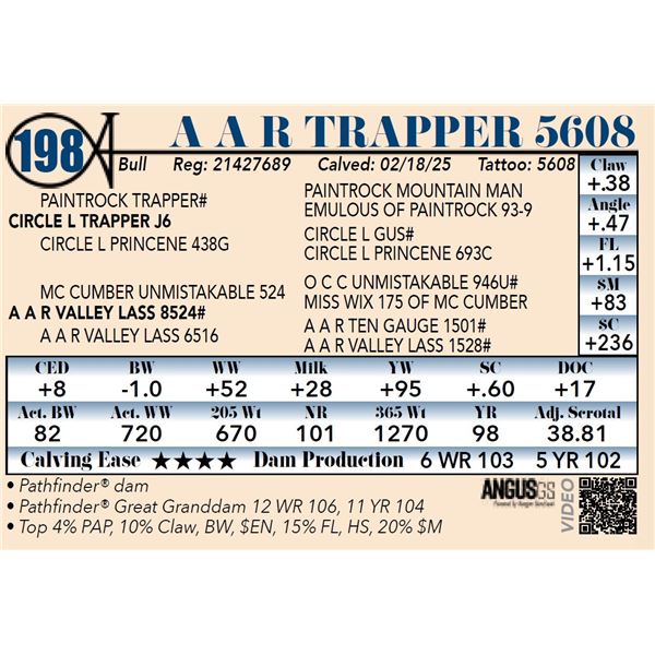 A A R Trapper 5608