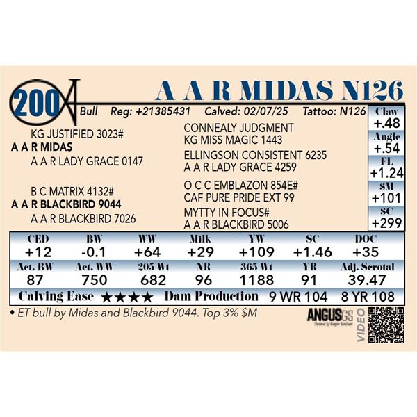 A A R Midas N126