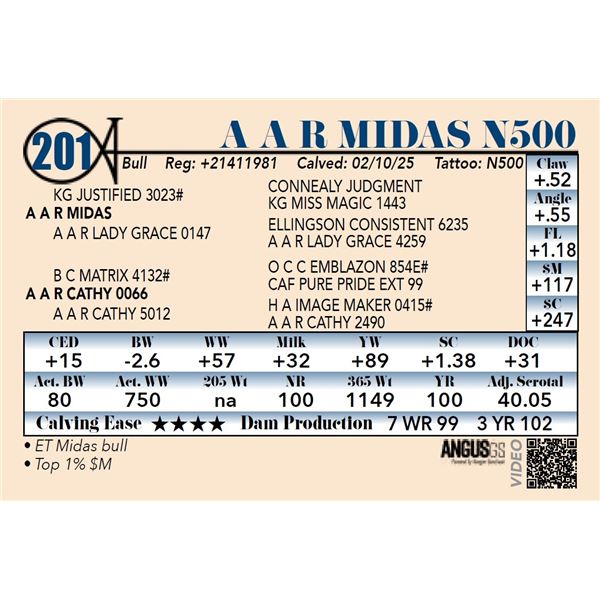 A A R Midas N500