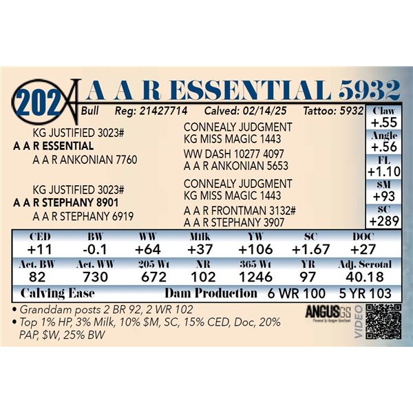 A A R Essential5932