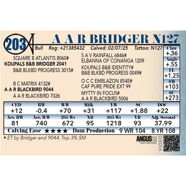 A A R Bridger N127