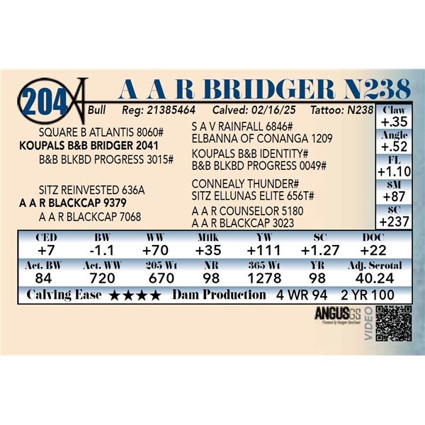 A A R Bridger N238
