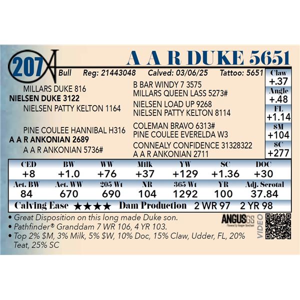 A A R Duke 5651