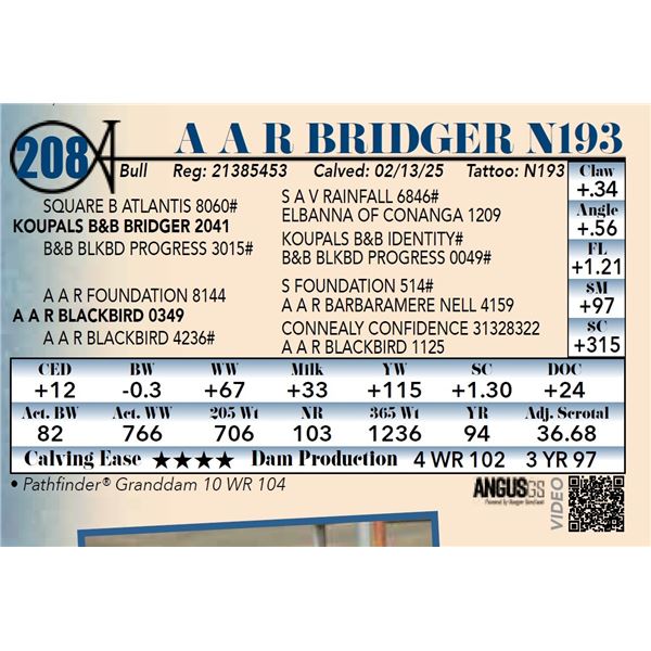 A A R Bridger N193