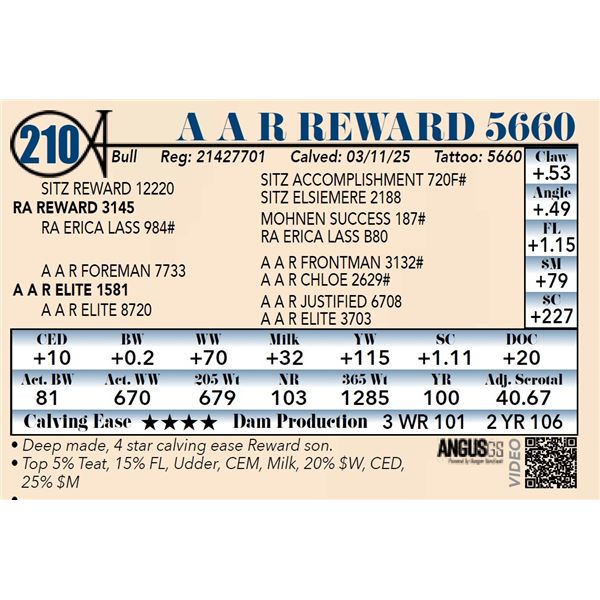 A A R Reward 5660