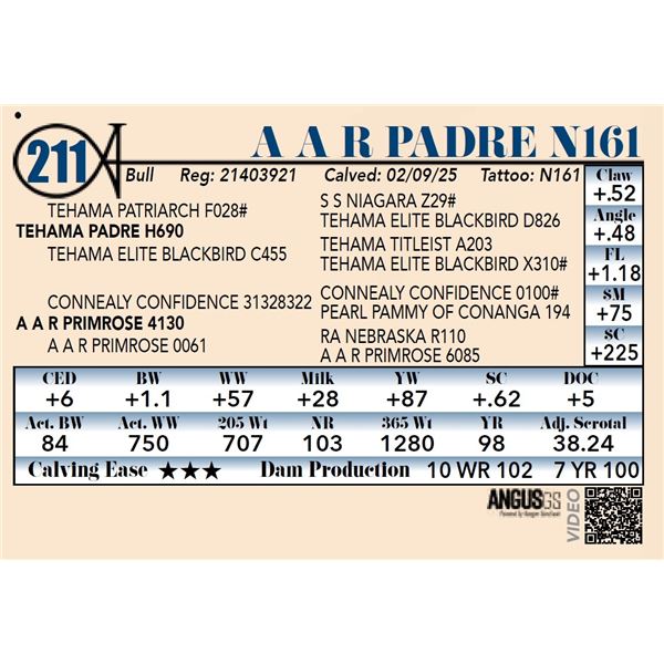 A A R Padre N161