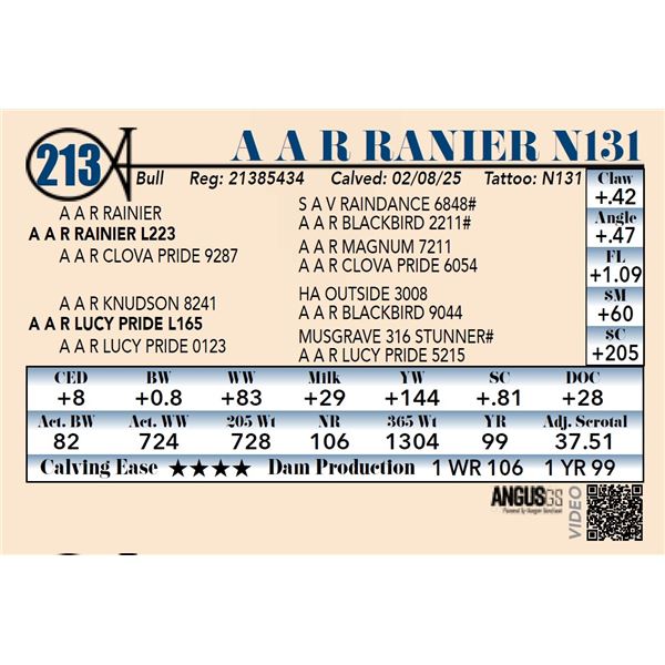 A A R Ranier N131