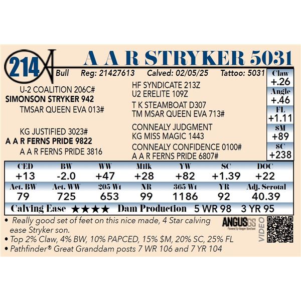 A A R Stryker 5031