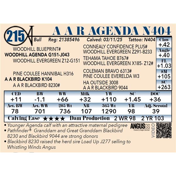 A A R Agenda N404