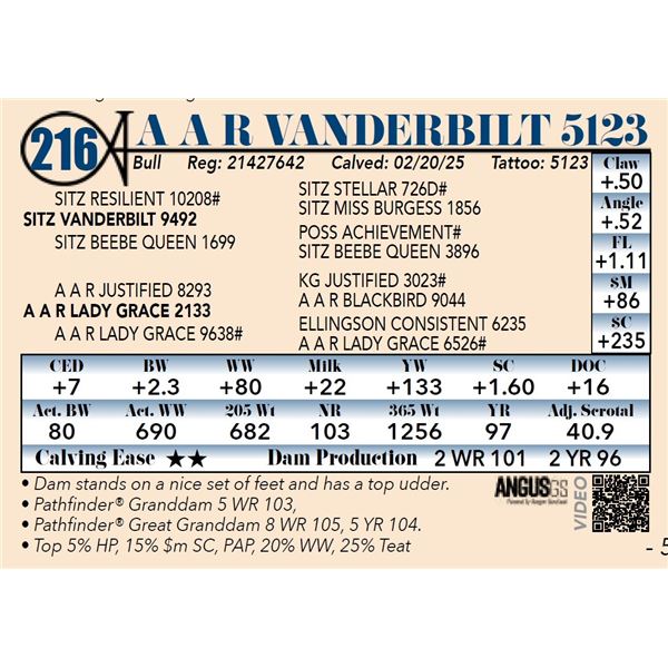 A A R Vanderbilt 5123