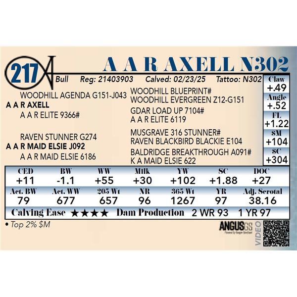 A A R Axell N302