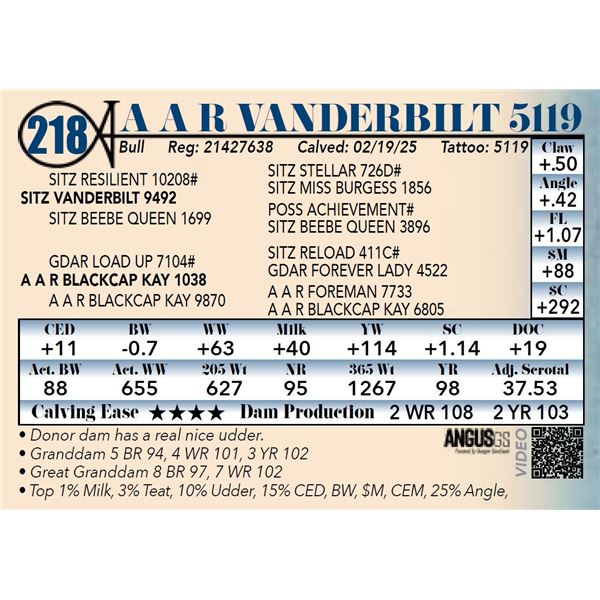 A A R Vanderbilt 5119