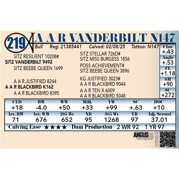 A A R Vanderbilt N147