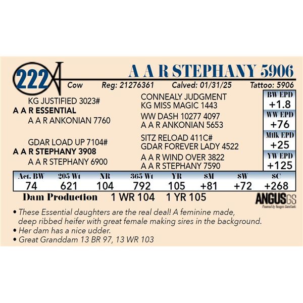 A A R Stephany 5906
