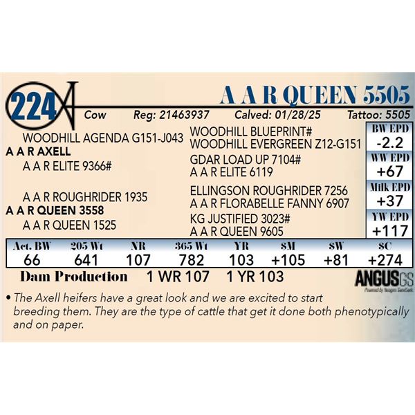 A A R Queen 5505