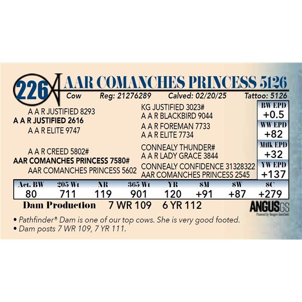 AAR Comanches Princess 5126