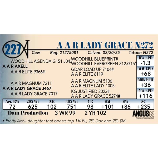 A A R Lady Grace N272