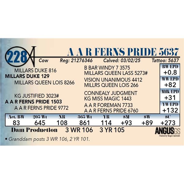 A A R Ferns Pride 5637